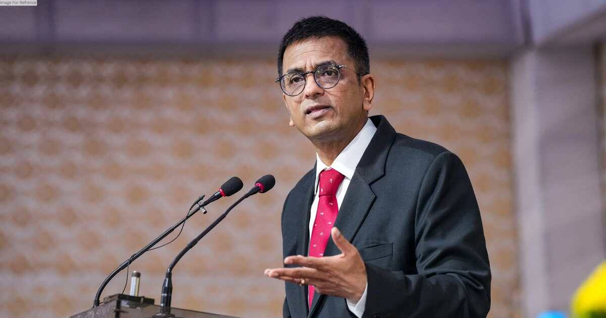 No institution in democracy is perfect: CJI Chandrachud